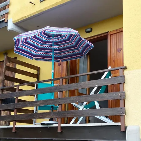 Lo Scoiattolo E Il Ghiro Daire *