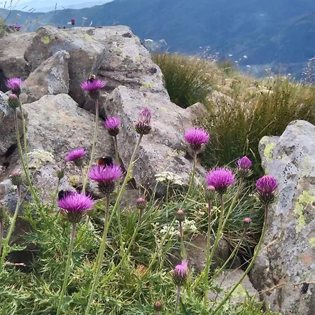 Lo Scoiattolo E Il Ghiro * Fiumalbo