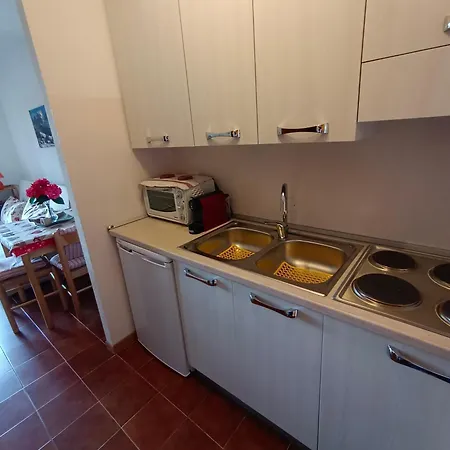 Lo Scoiattolo E Il Ghiro Daire Fiumalbo