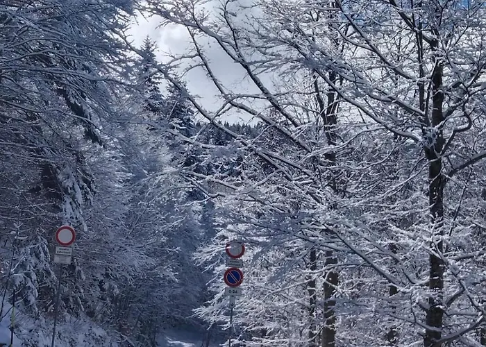 Lo Scoiattolo E Il Ghiro Apartment