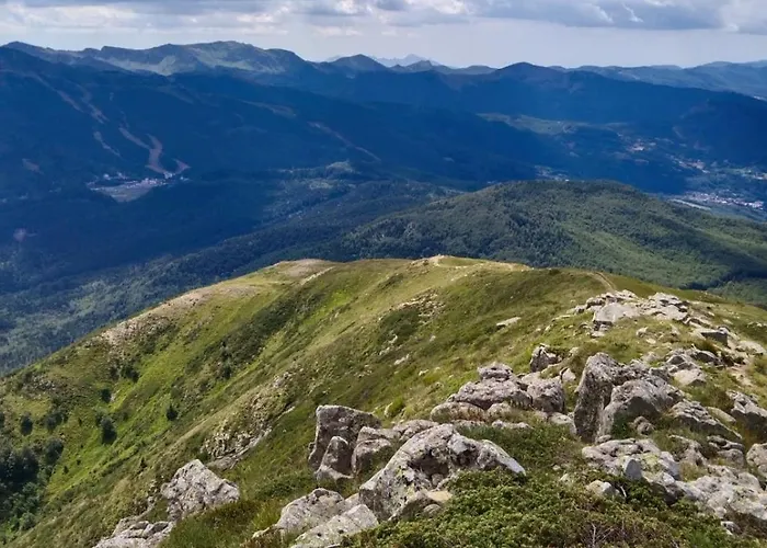 Lo Scoiattolo E Il Ghiro Daire