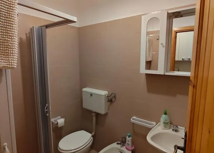 Daire Lo Scoiattolo E Il Ghiro *
